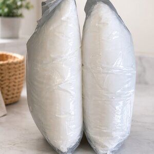 Set of 2 Target 20x20 Pillow Inserts | White Throw Pillow Forms | Brand New